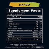 Thumbnail for Re-Lyte Hydration Electrolyte Powder Mix (Mango)