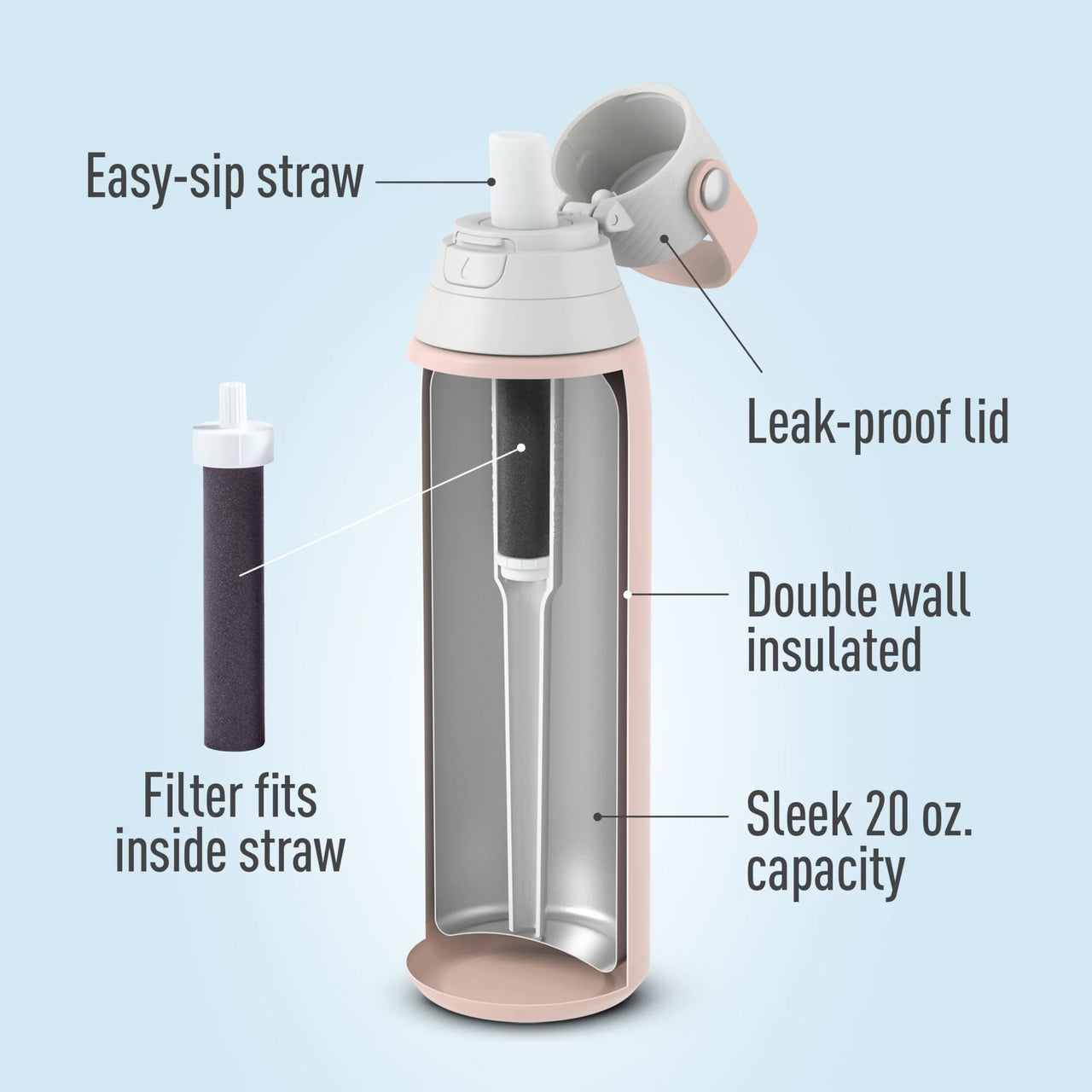 20 Oz Rose Premium Stainless Steel Leak Proof Filtered Insulated Water Bottle with Straw