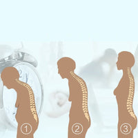 Thumbnail for Posture Corrector Back Brace — Spine Alignment & Shoulder Support